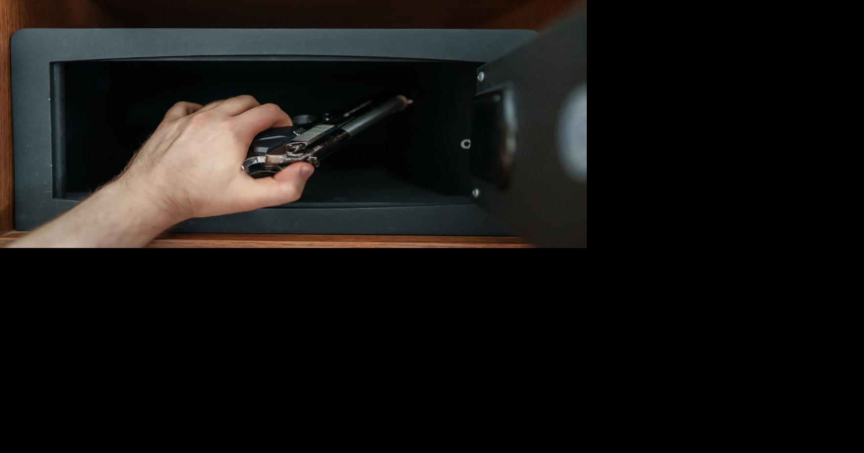 Lancaster County organizations start initiatve for gun safety classes ...