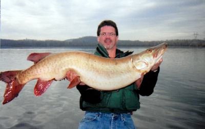musky caught fish pa lake record pennsylvania state conneaut ice river fishing giant monster steve susquehanna mellinger ever biggest lancasteronline