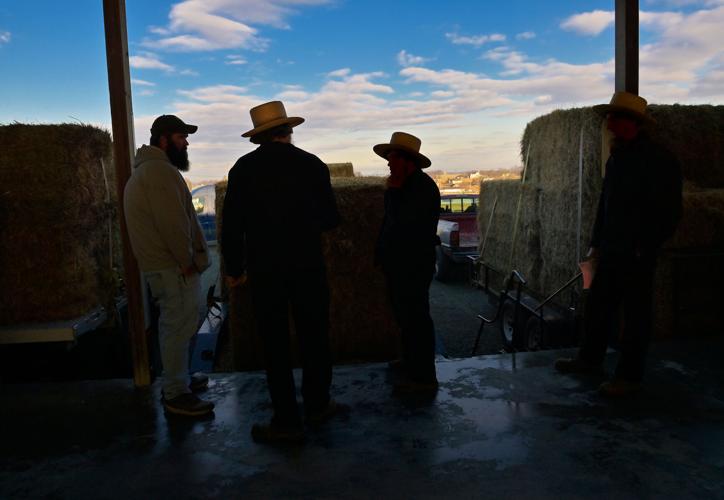 Oxford Produce Auction sells straw, hay and produce [photos