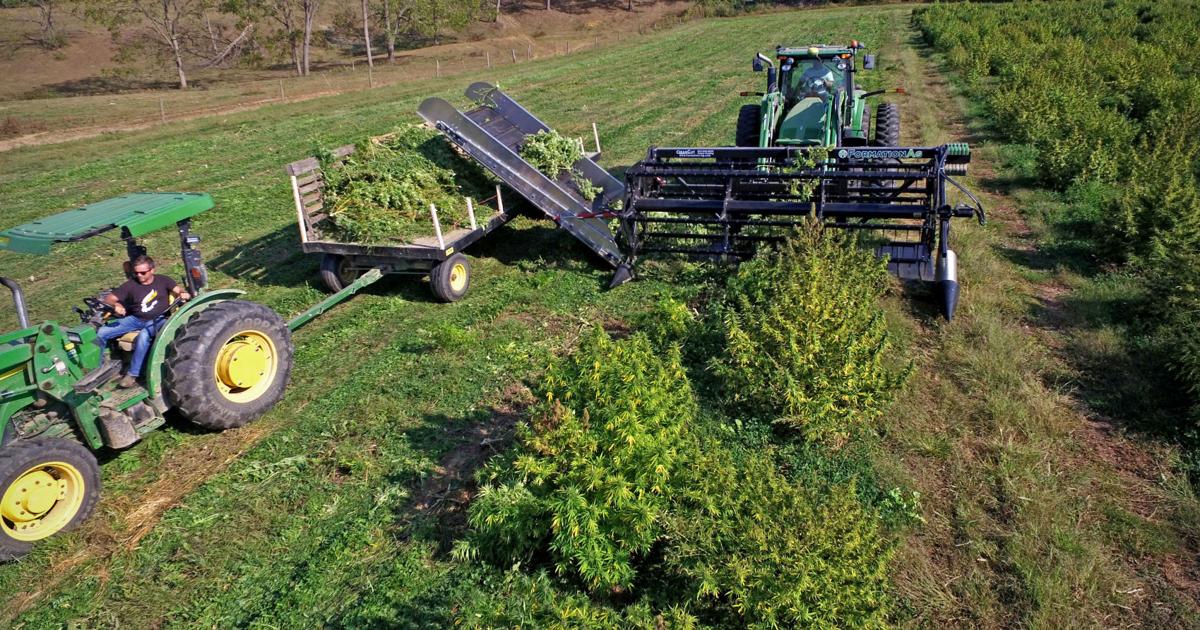 Pa. health department sues Spotlight PA to keep medical pot program data secret | PA Power and Policy Pa. health department sues Spotlight PA to keep medical pot program data secret | PA Power and Policy