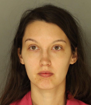 Mount Joy woman charged with encouraging child to lie in surrogate ...