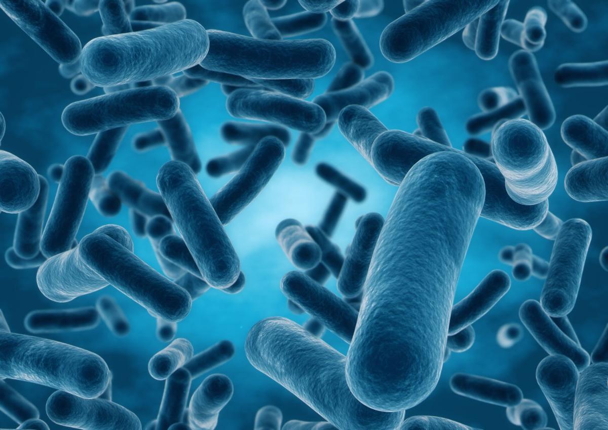 giants microbes