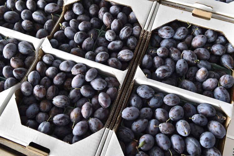 A day at Weaverland and Leola produce auctions [photo slideshow