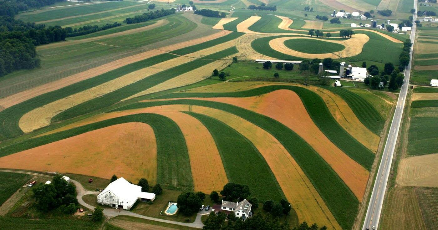 Amish farmer from Lititz featured in New York Post: Top 5 most-read stories May 20 - 27 [ICYMI] - Vimarsana News