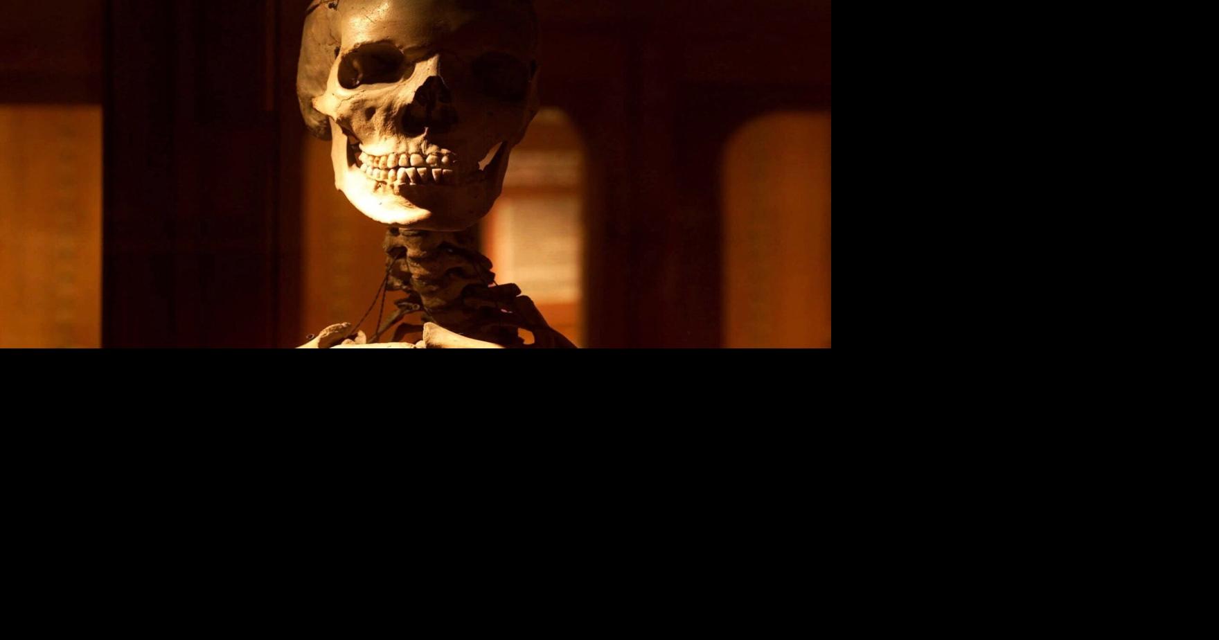 Oddities collectors call for human remains trade regulations after Gerlach grave-robbing charges