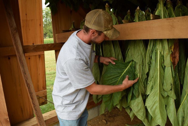 japan tobacco acquisitions Japan Tobacco Reaches $5 Billion Deal With Reynolds American Over Cigarette  Brand