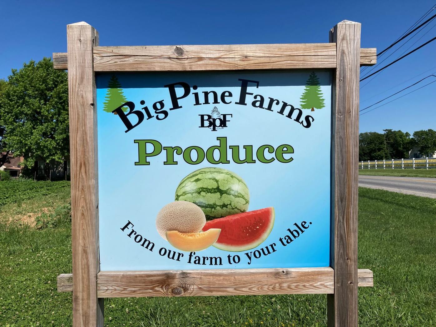 Big Pine Farms