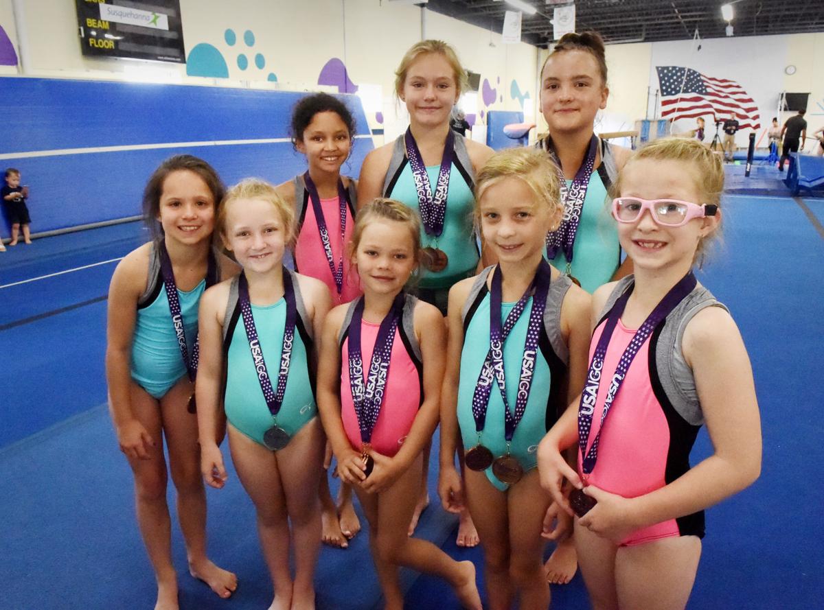 Lititz Based Fusion Gymnastics Group Vaults To Success In