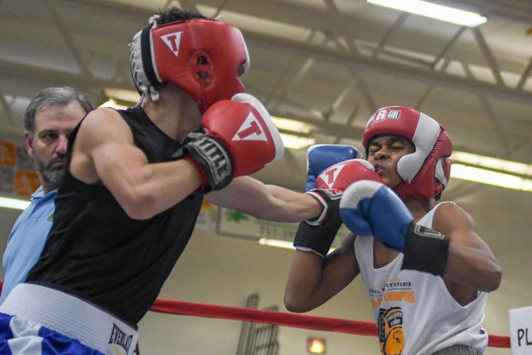 5 area boxers earn Golden Gloves victories at Lancaster Catholic ...