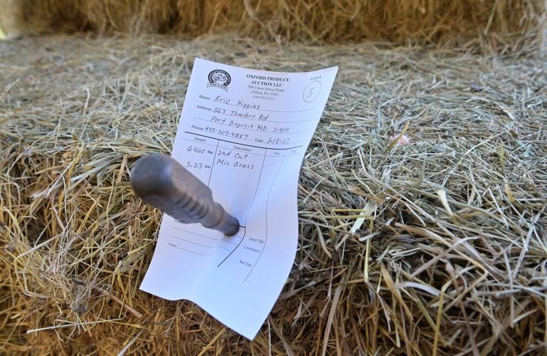 Oxford Produce Auction sells straw, hay and produce [photos