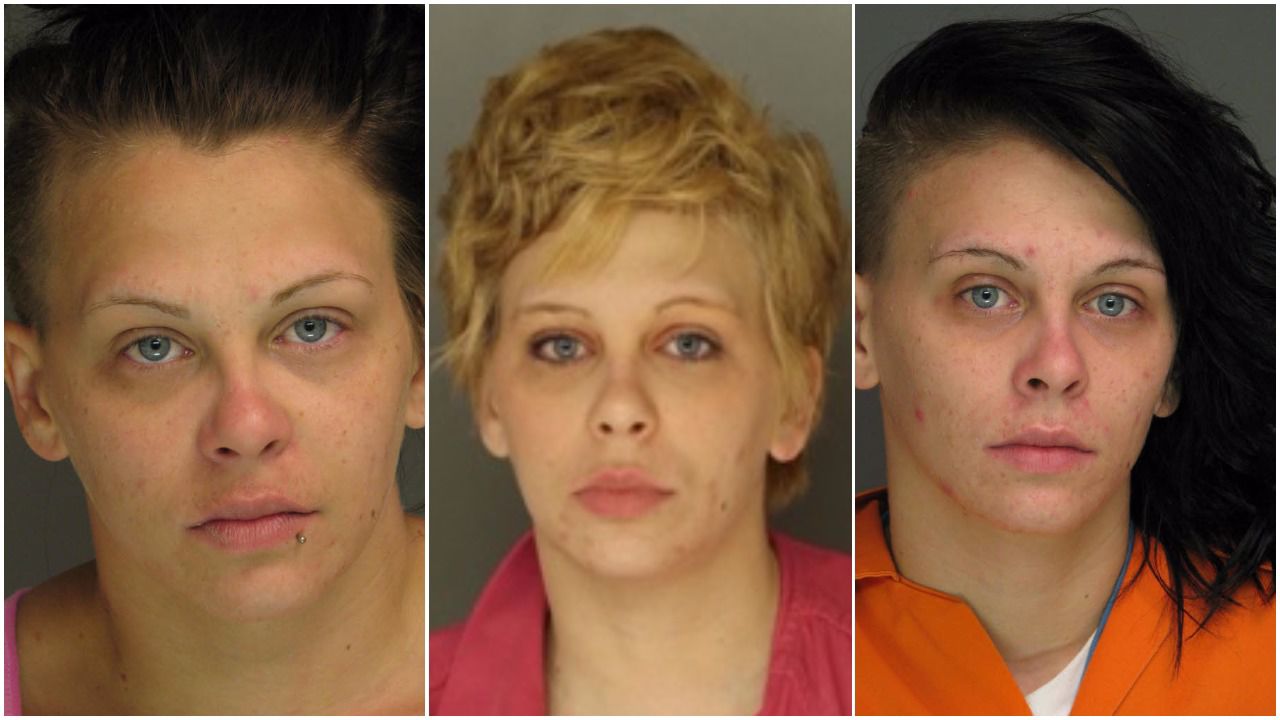 Lancaster woman charged in wig theft wanted on additional theft charges |  Local News | lancasteronline.com