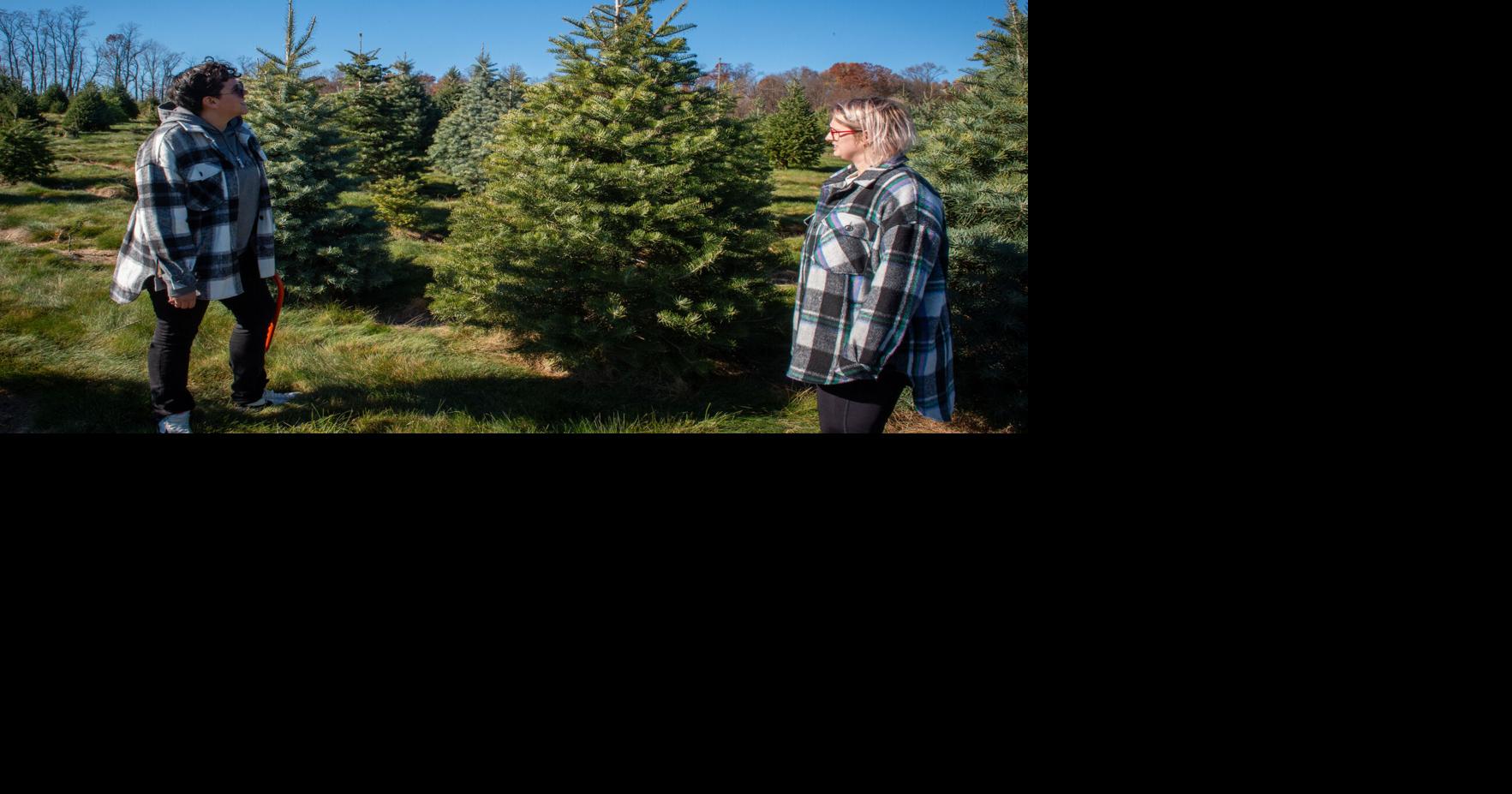 Agriculture leads Lancaster County's 1.4 increase in GDP in 2022