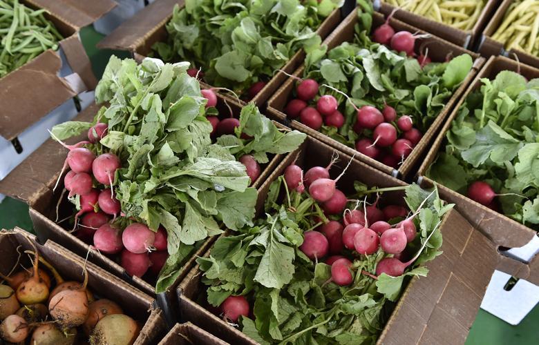 A day at Weaverland and Leola produce auctions [photo slideshow