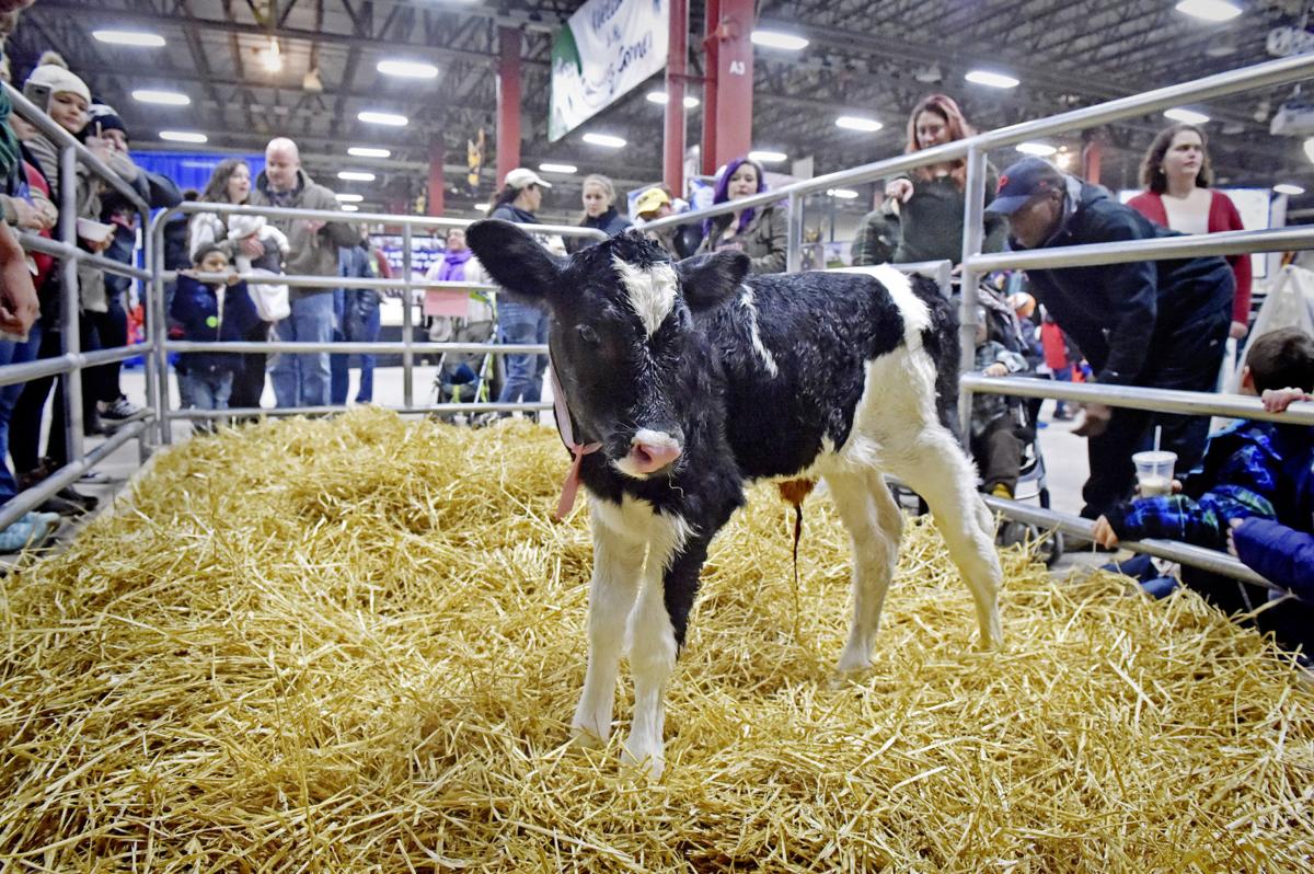 Photos Monday Farm Show Lancasteronline Com