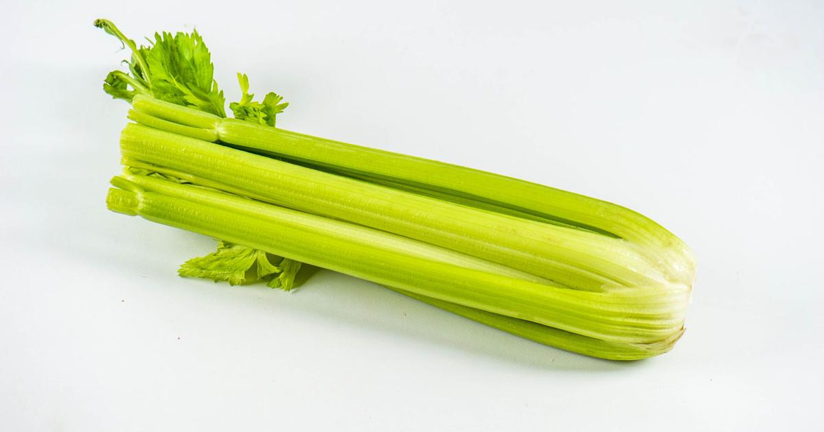 Here S Why Celery Has Quadrupled In Price Since November Life Culture Lancasteronline Com Here S Why Celery Has Quadrupled In Price Since November Life Culture Lancasteronline Com