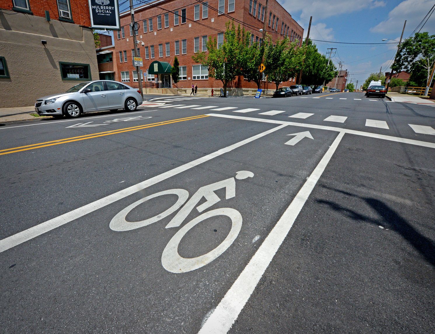 sharrow bike lane