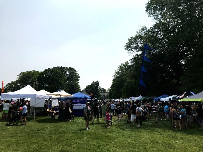 Thousands enjoy music, vegan food at 3rd annual Lancaster VegFest [photos, video] Life