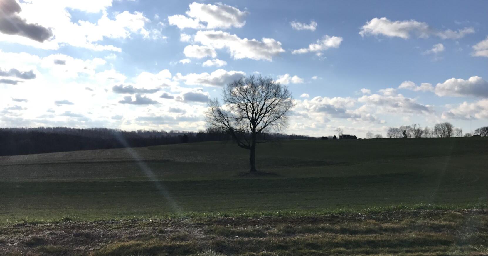 Here's the Memorial Day weather forecast for Lancaster County - Vimarsana News