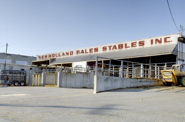 New Holland Sales Stables Charged With Two Cases Of Animal Cruelty