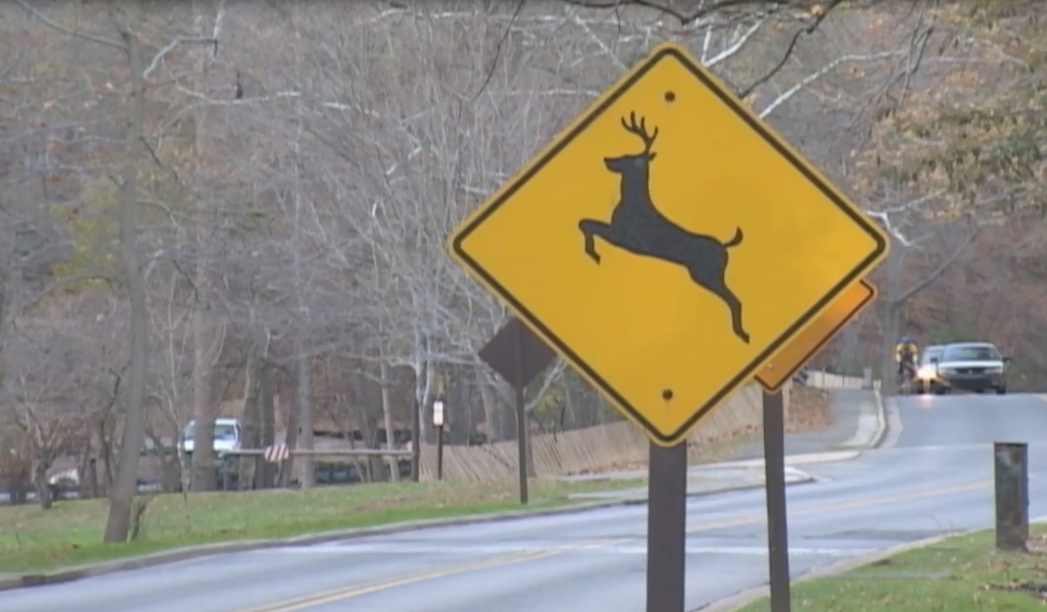 Deer whistles on a Pennsylvania car. 
