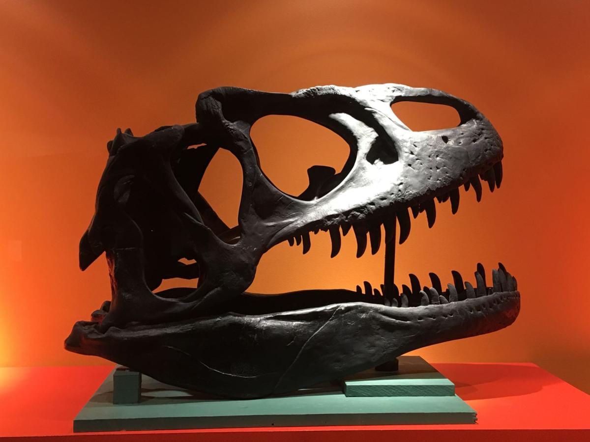 You Can Almost Hear The Roar North Museum Opens New Dinosaur Gallery Saturday Entertainment Lancasteronline Com