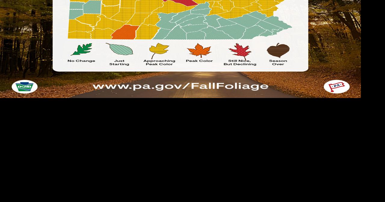 With Pennsylvania's fall leaves changing fast, here's where to find early October peak color