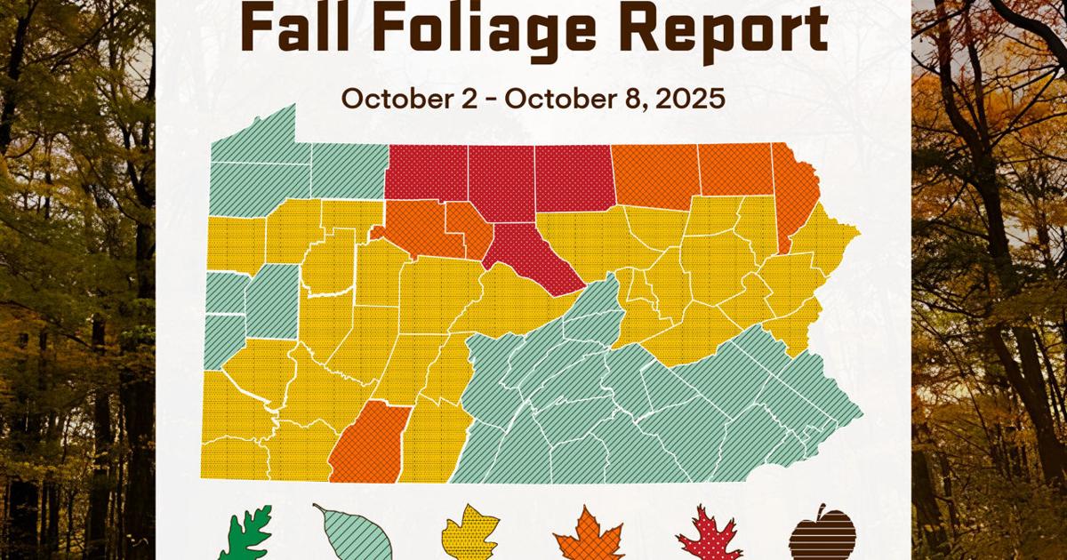 With Pennsylvania's fall leaves changing fast, here's where to find early October peak color