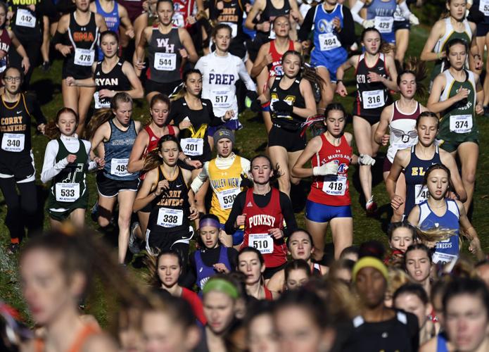 Piaa District 1 Cross Country Championships 2025 Denise Jackquelin