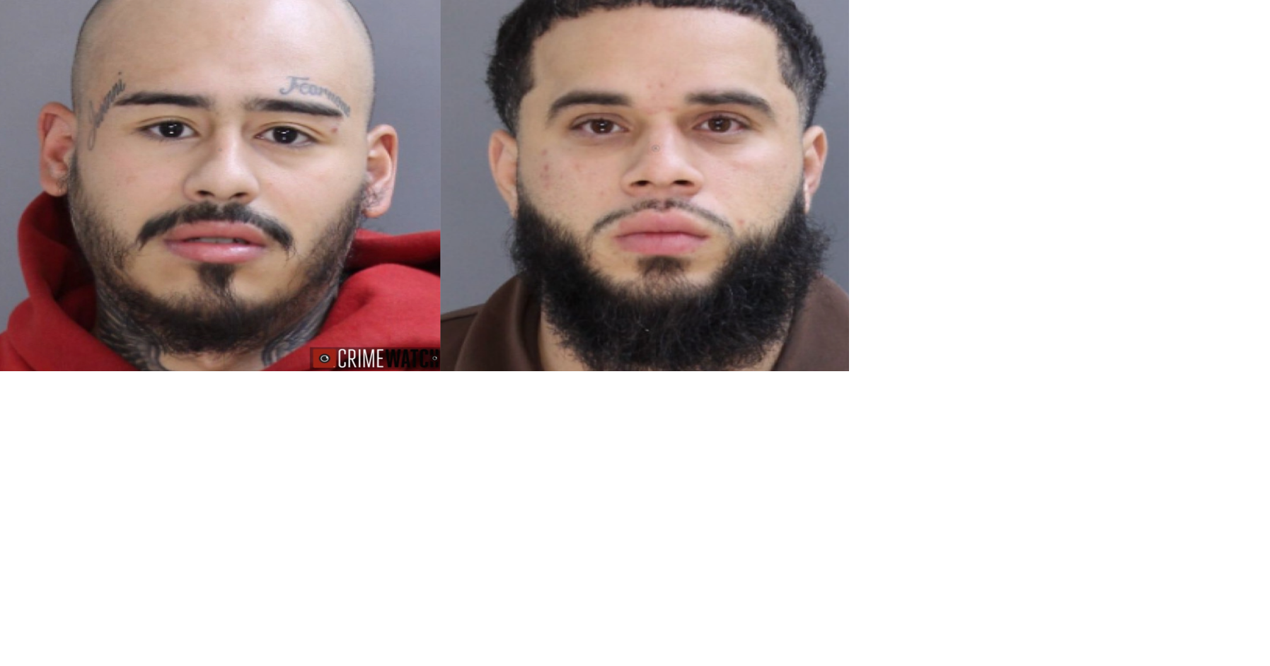 2 men charged after gun stolen from UPS package used in Lancaster suicide attempt: police