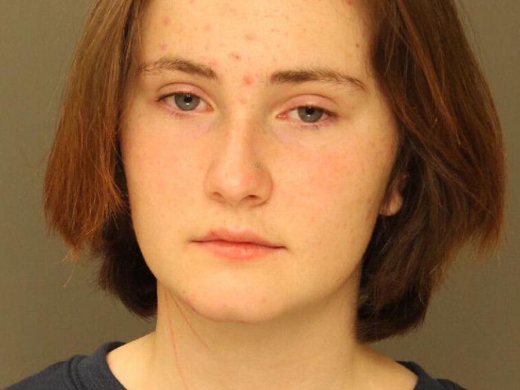 Manheim Twp. teen charged with killing sister told witness she was homicidal/suicidal: police - Vimarsana News