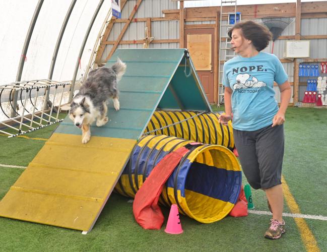 Rocky Creek Dog Agility 4.jpg