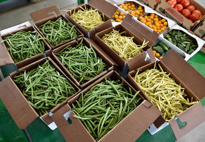 A day at Weaverland and Leola produce auctions [photo slideshow