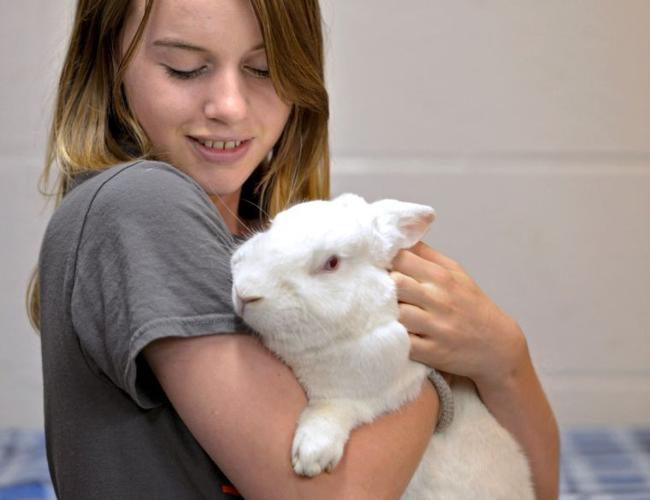A real live Easter Bunny? Not the best holiday gift, local shelters