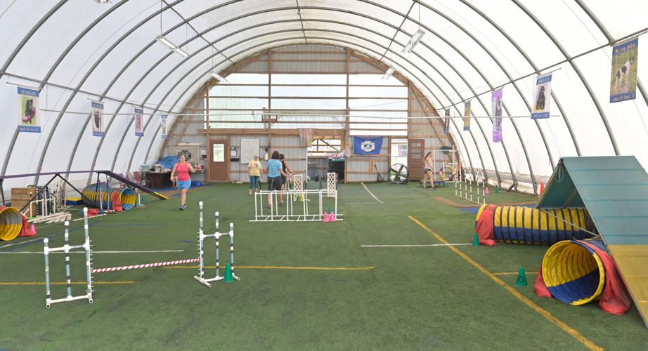 Rocky Creek Dog Agility 33.jpg