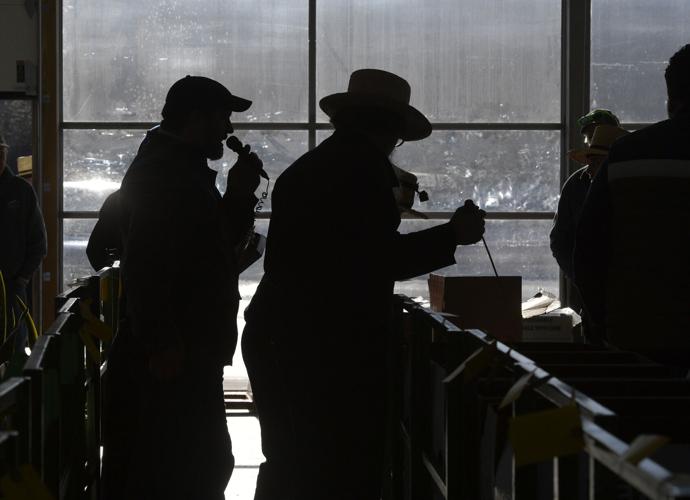 Oxford Produce Auction sells straw, hay and produce [photos