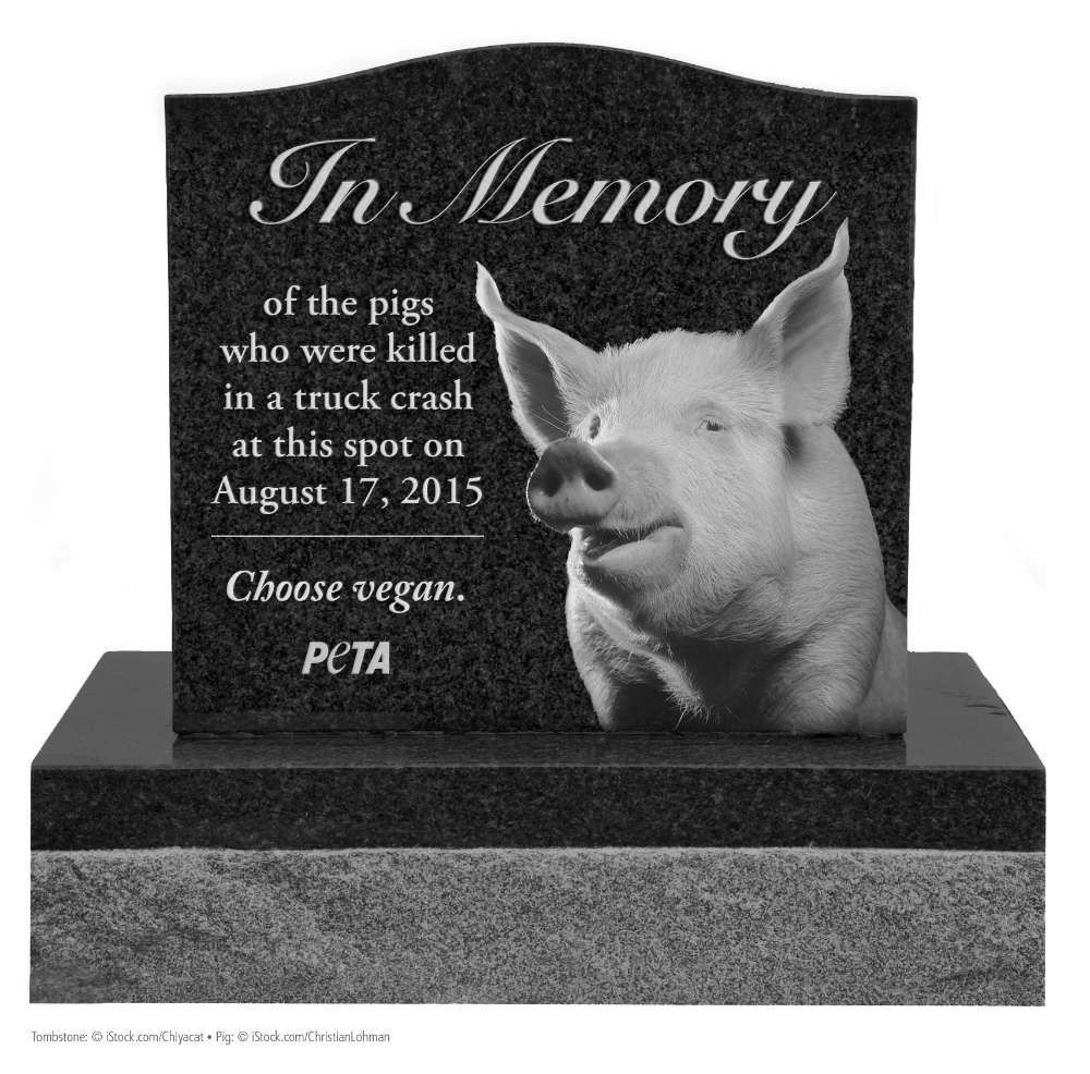 55dbb6f9da5f2.image.jpg