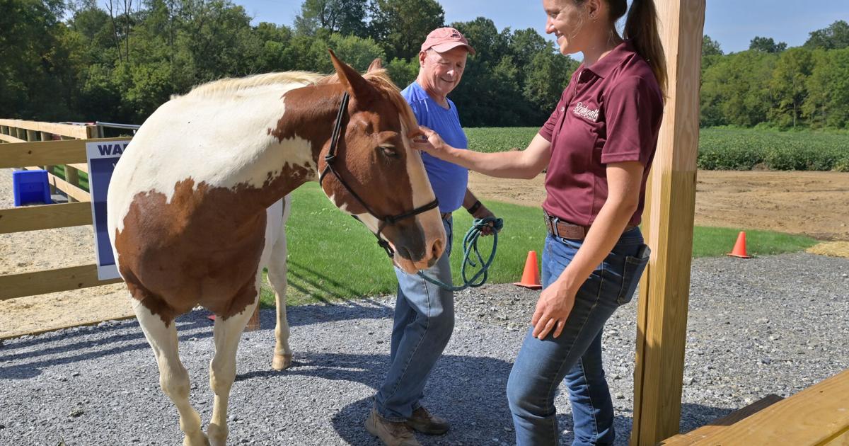 ‘Growth and healing’: Paradise woman opens therapeutic horse-riding center in Eden Township | Local News ‘Growth and healing’: Paradise woman opens therapeutic horse-riding center in Eden Township | Local News
