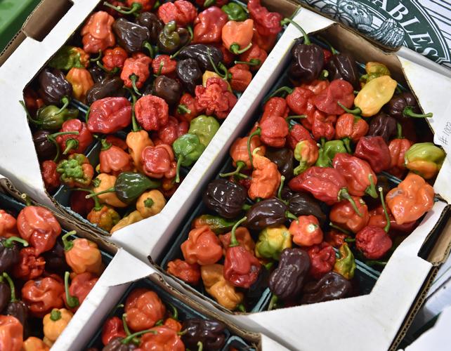 A day at Weaverland and Leola produce auctions [photo slideshow