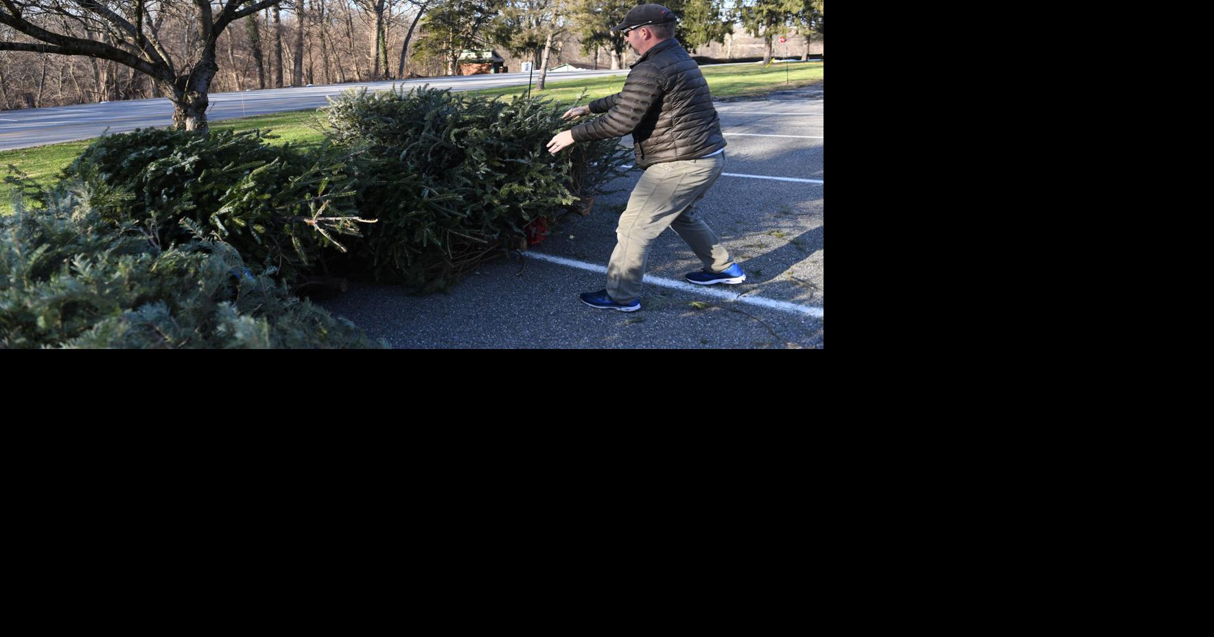 Christmas tree recycling 2021: Where and when to take your tree to the ...