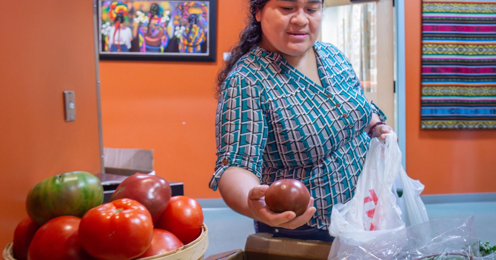 This Lancaster program shares free plants, seeds and, this summer, vegetables from a new garden - Vimarsana News