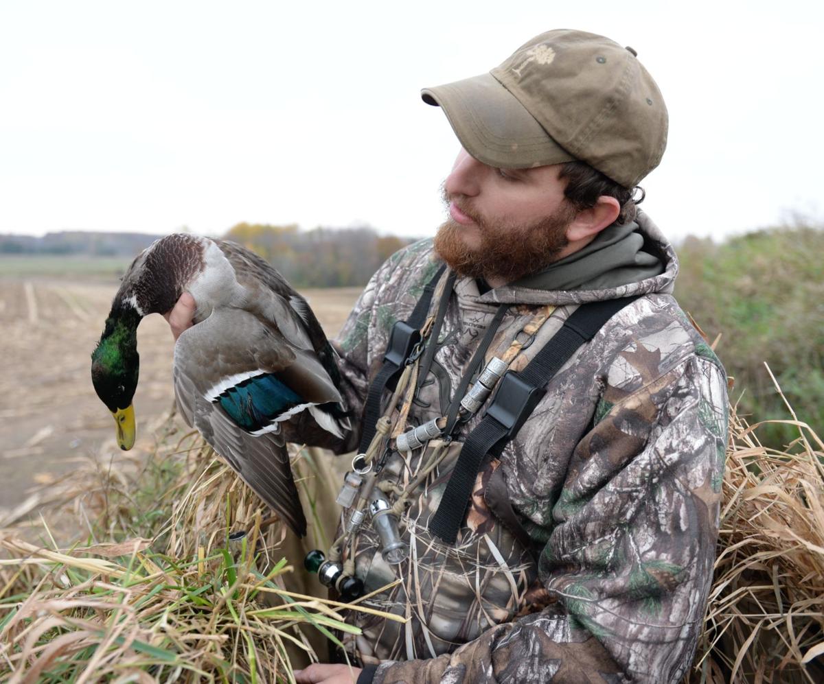 PA duck hunters needed for mallard survey Outdoors
