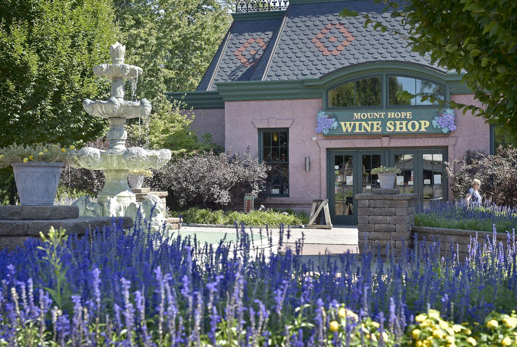 Mount Hope Estate gets OK for drive-in movies outside renaissance ...