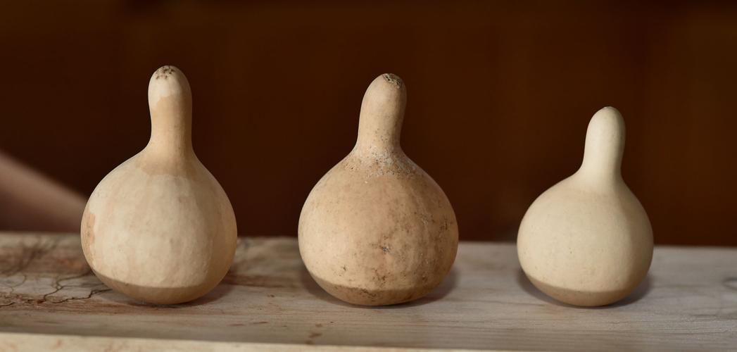 'Tis the season for decorative gourds, Lancaster County Life