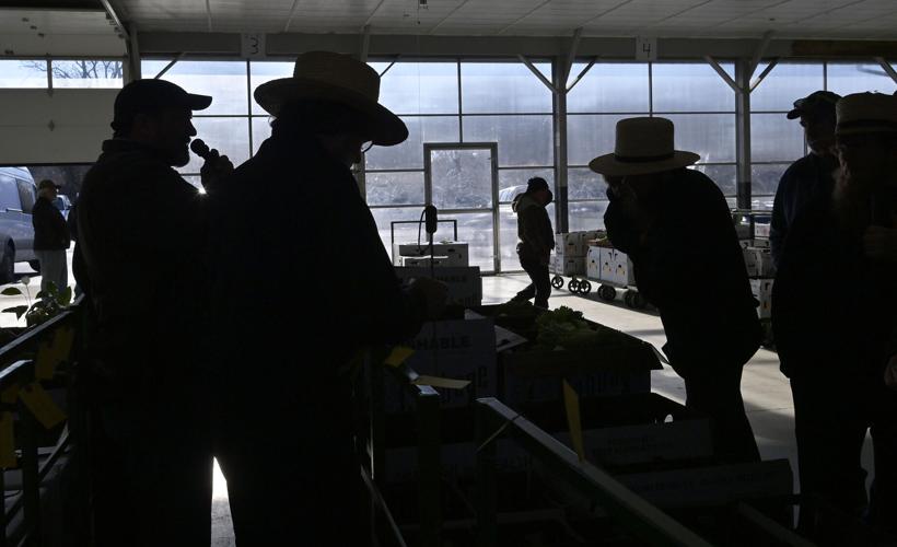 Oxford Produce Auction sells straw, hay and produce [photos