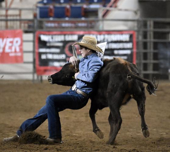 108th Pennsylvania Farm Show opening day [photos] | Local News ...