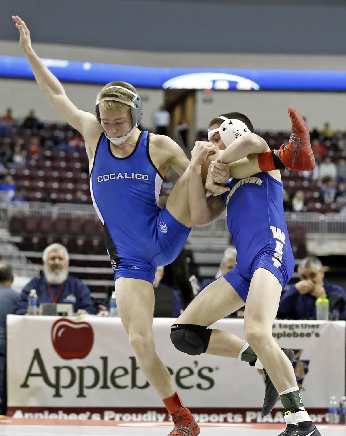 Piaa Aaa Wrestling Rankings - ns4gmww