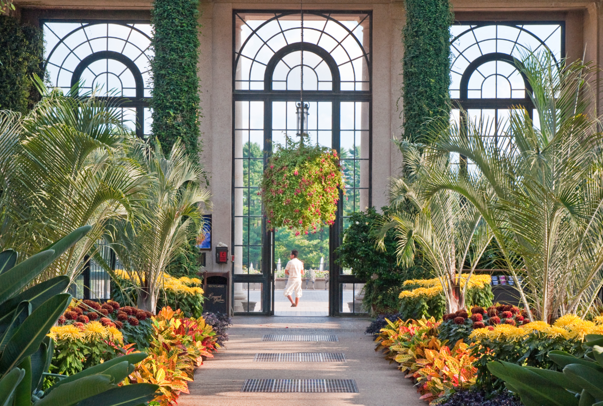 Longwood's Autumn's Colors in bloom starting Saturday | Entertainment