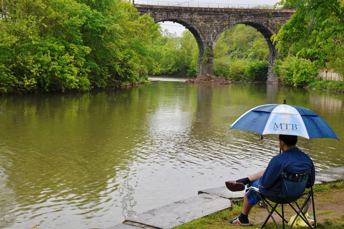 A retrospective of the Conestoga River Local News