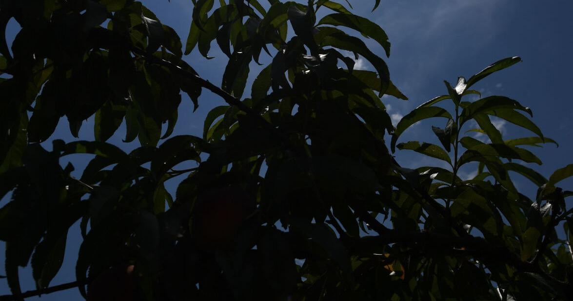 Air quality alert issued for Lancaster County as high temperatures boost ozone levels