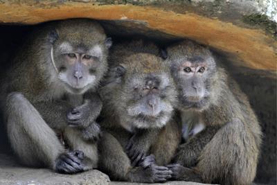 Switzerland Basel Zoo